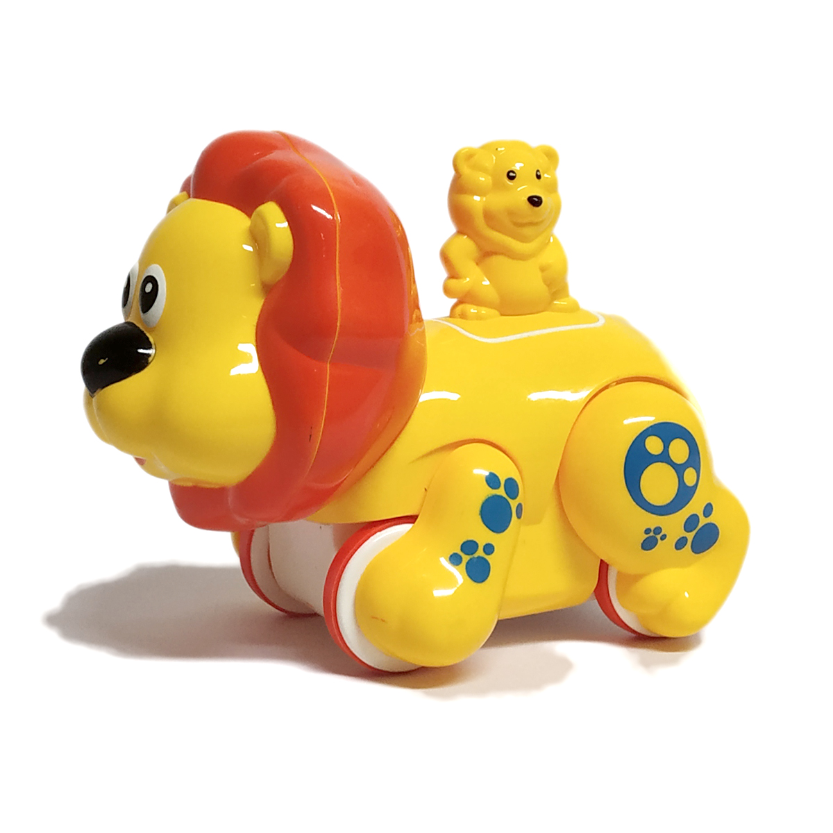 Funny Animal - Lion