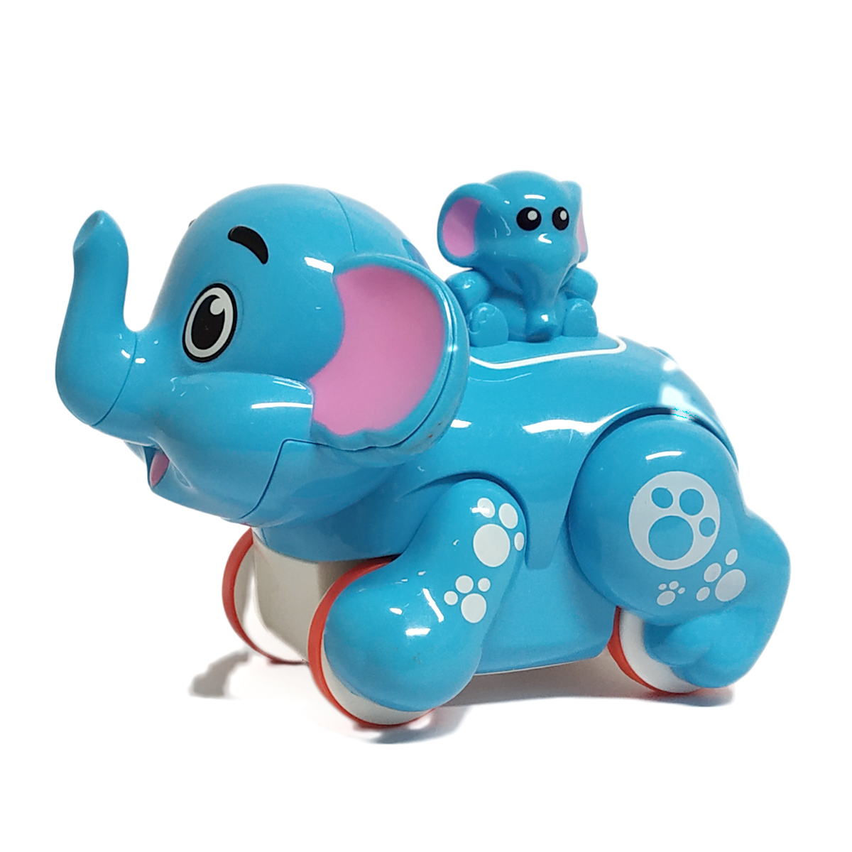 Funny Animal - Elephant