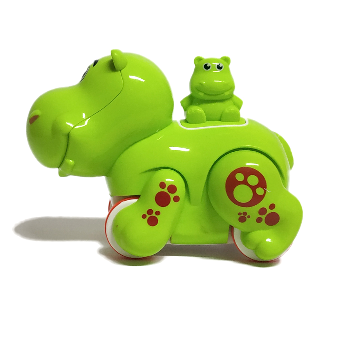 Funny Animal - Hippopotamus